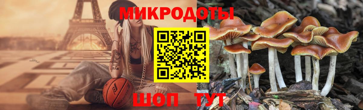 Галлюциногенные грибы Psilocybe  Вход с VPN  Псилоцибиновые грибы мухоморы  Оренбург 