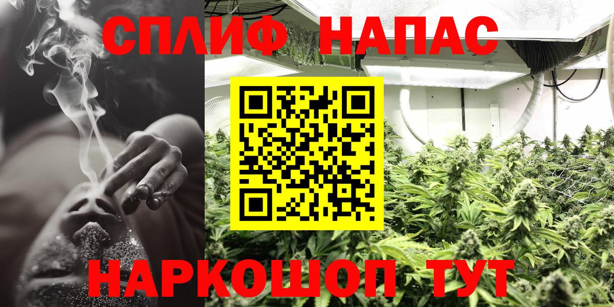 Бошки Шишки семена Оренбург